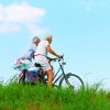 Elderly Exercising Biking